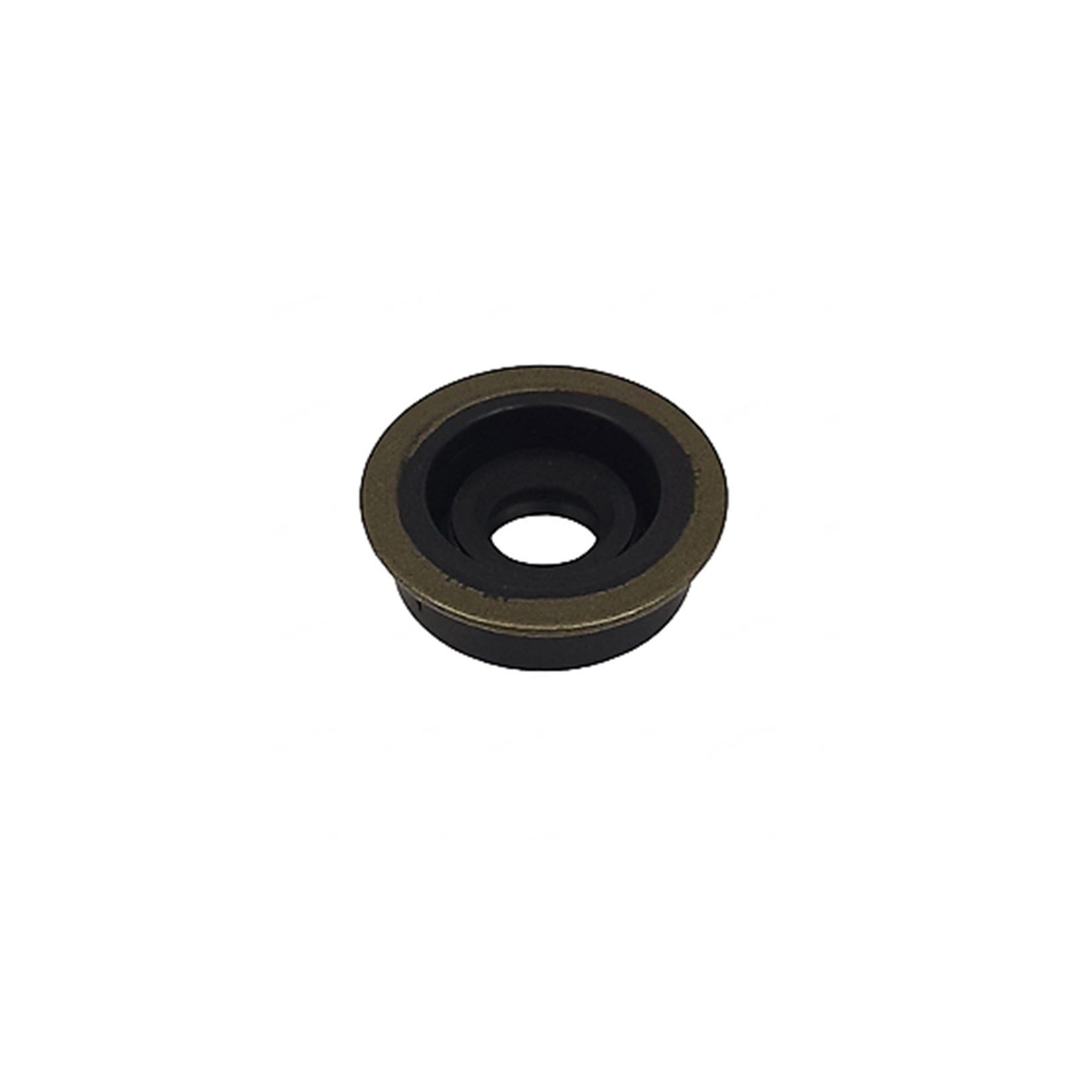 6EK438820000 OIL SEAL Yamaha