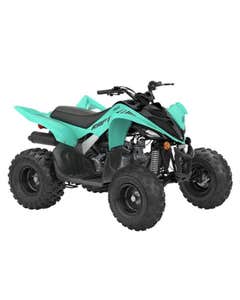 واي إف إم 110 آر 2025 دباب ياماها رابتر