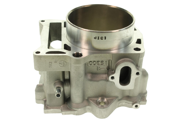 Yamaha CYLINDER RAPTOR 700, 1S3113100100