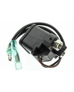 Yamaha RELAY, 6AW8194A0000