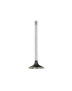 JohnDeere INTAKE VALVE (STD) R98062