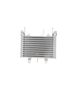 Yamaha OIL COOLER ASSEMBLY, 2CR134700000