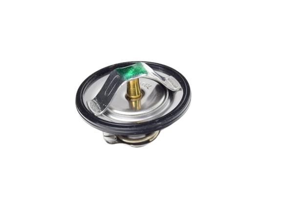 Yamaha THERMOSTAT ASSEMBLY, 4FM124100000